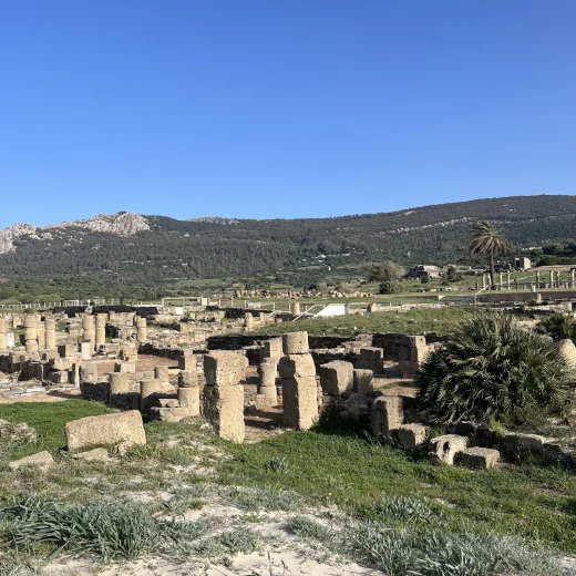Ruinas de Bolonia