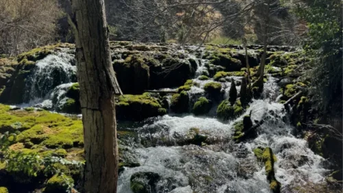 Fuente Conejera. Nacimiento del río Pitarque