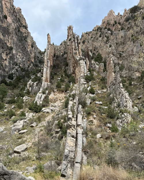 Aliaga